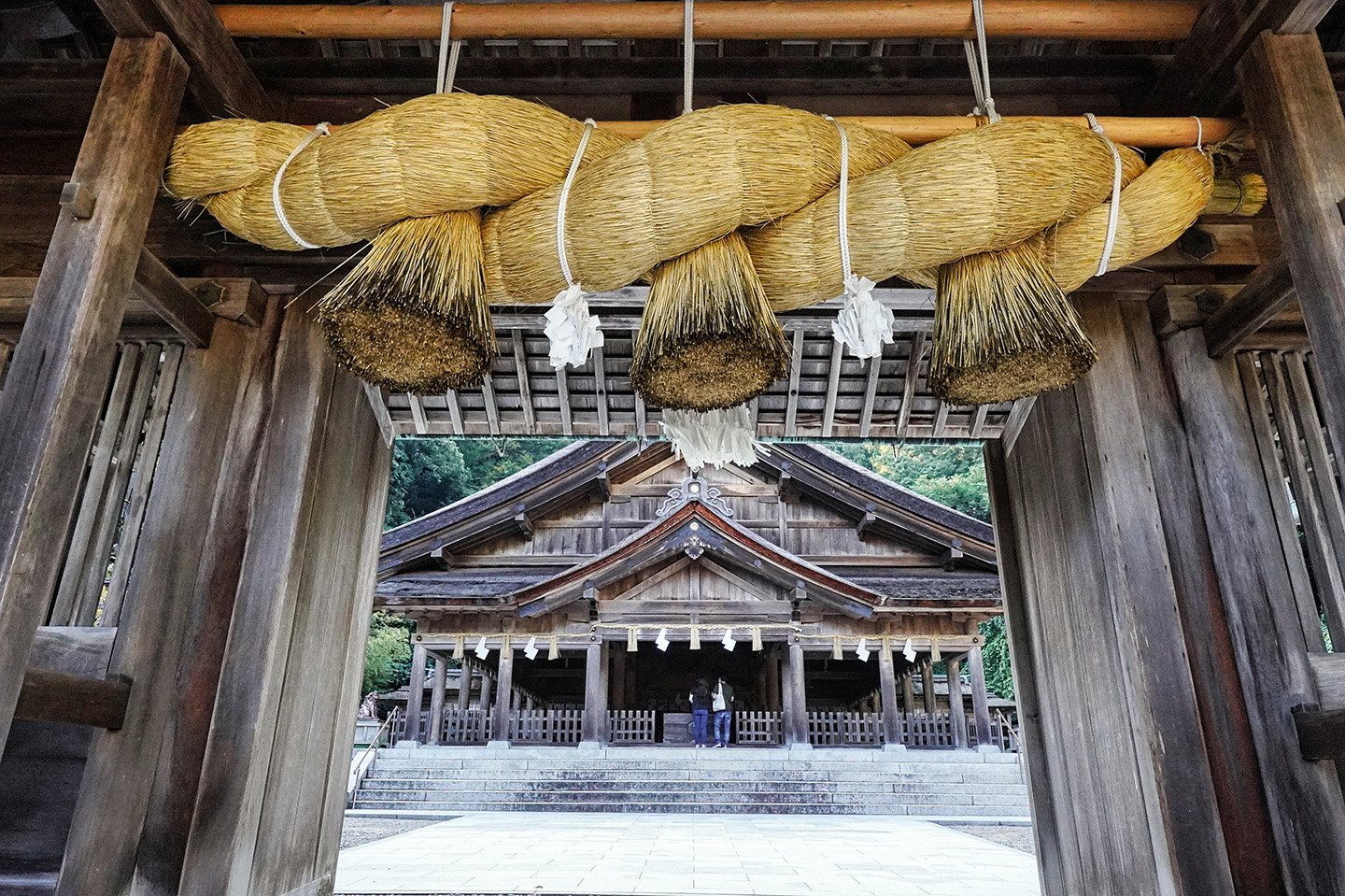 ⛩️ 미호 신사 (Miho Shrine) 이미지 6